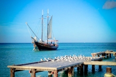 Hadicurari Pier Aruba